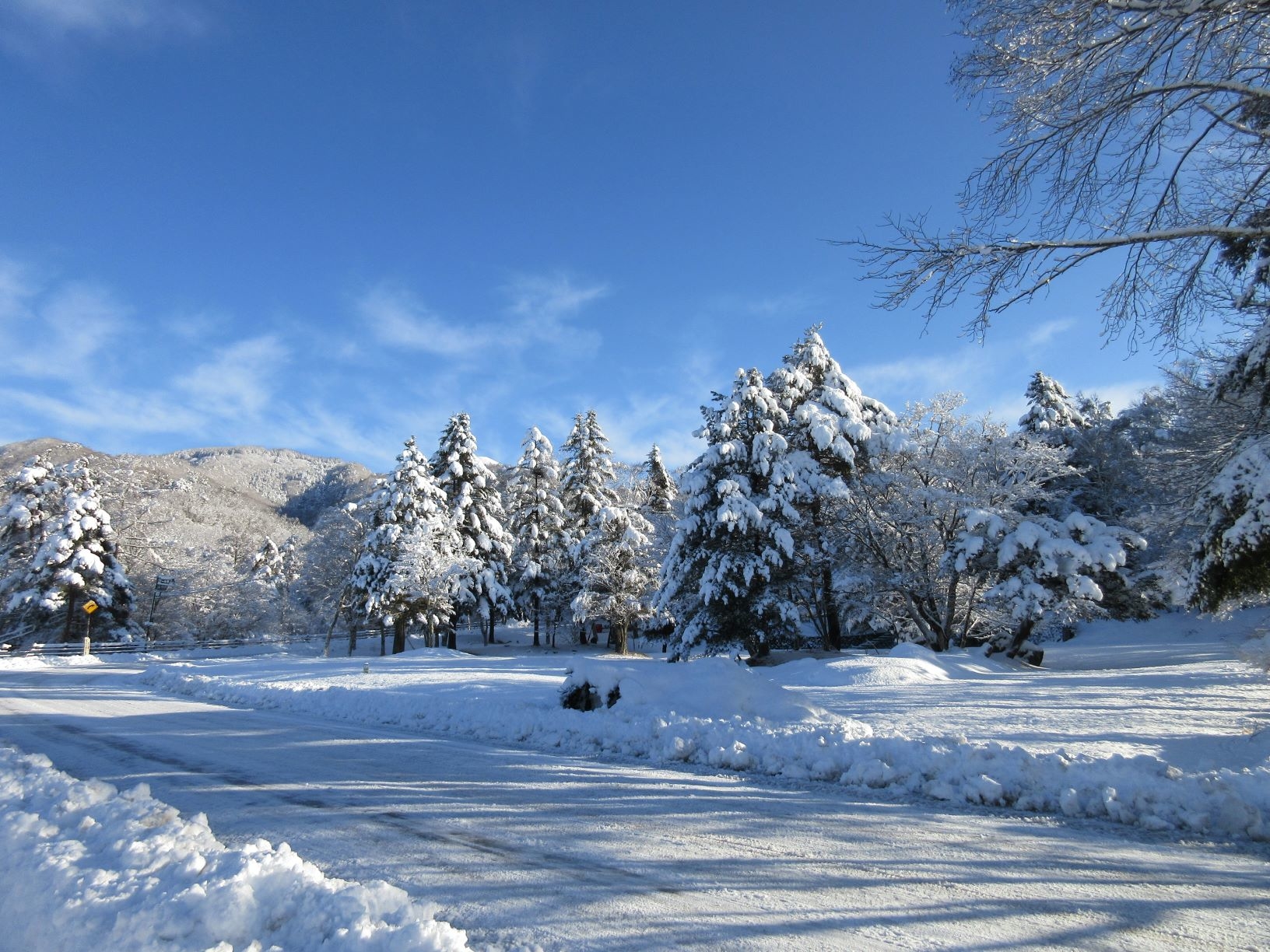 雪景色 | 八ヶ岳山麓 蓼科高原別荘地