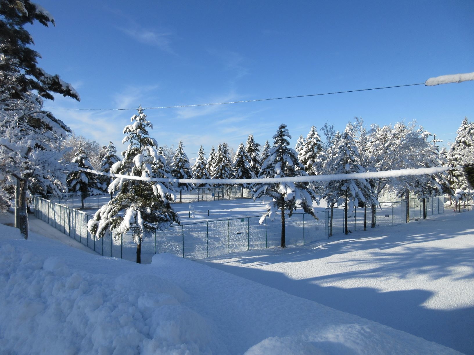 雪景色 | 八ヶ岳山麓 蓼科高原別荘地