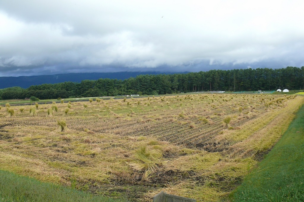 http://www.alpico.co.jp/tokan-tateshina/tateshina_news/images/caa1fa977305f6118b0a414a5e2a5175806097c4.JPG