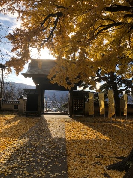 佛法紹隆寺 (4) 1.jpg