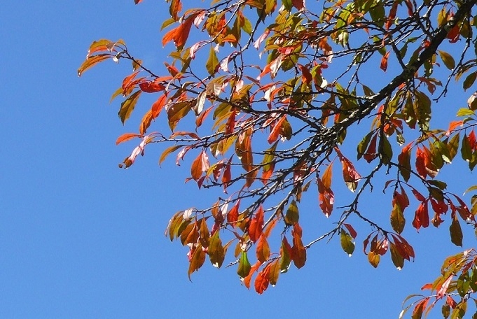 P1440288.JPG