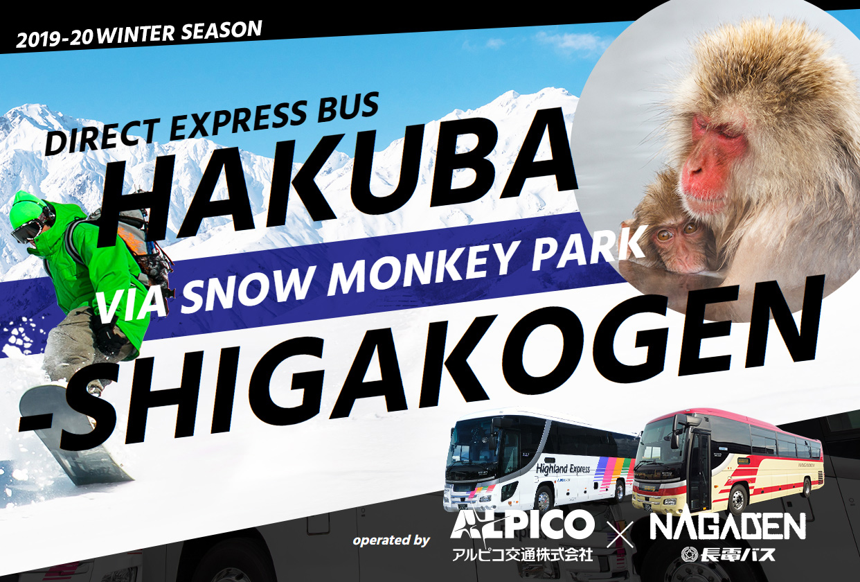 DIRECT EXPRESS BUS | HAKUBA-SHIGAKOGEN VIA SNOW MONKEY PARK
