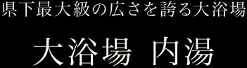 大浴場 内湯