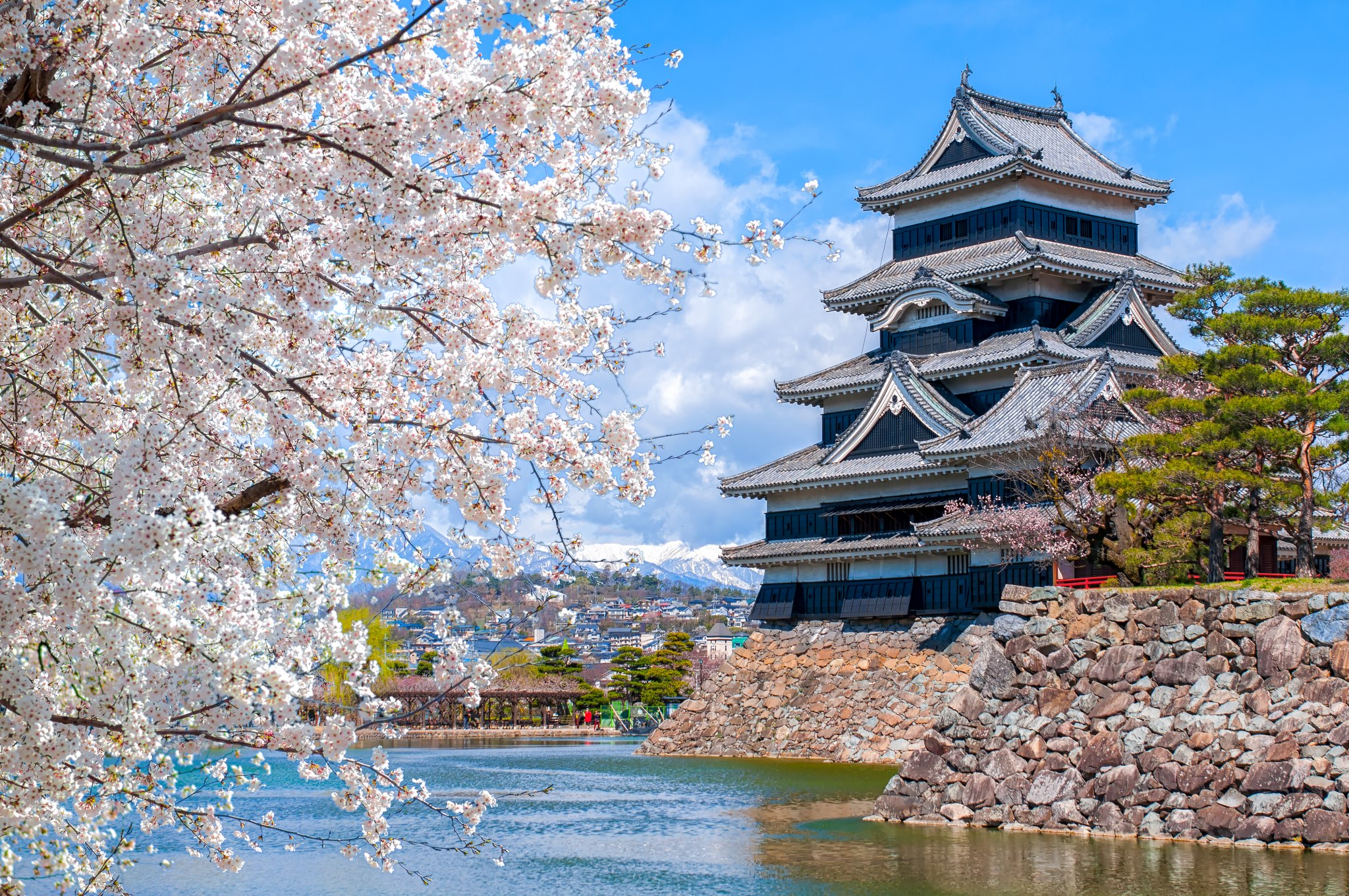 Five Famous Spots for Japanese Cherry Blossoms in Nagano Prefecture | Useful travel information on Matsumoto by ALPICO GROUP Official Website