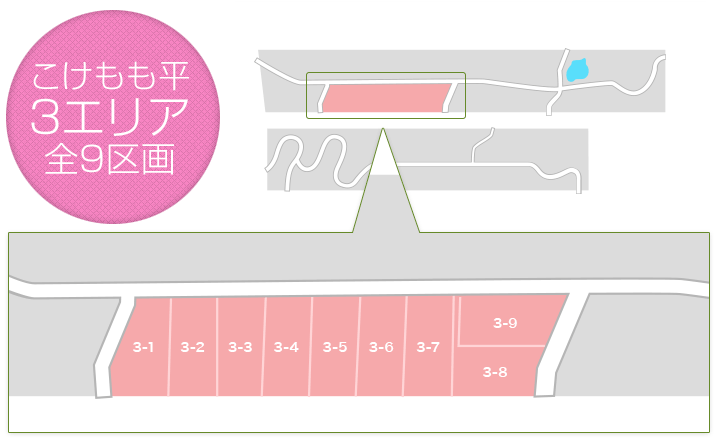 こけもも平3区画