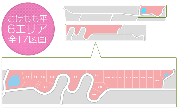 こけもも平6区画