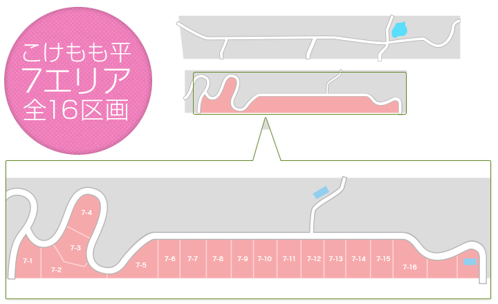 こけもも平7区画