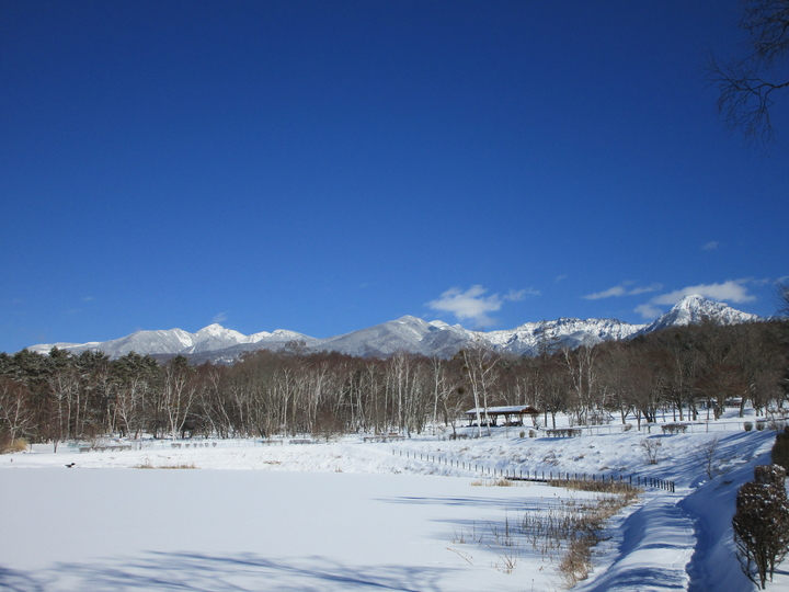 2019.2.1降雪の後の晴れ.JPG