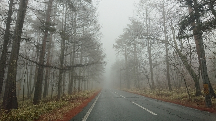 DSC_0319.JPG