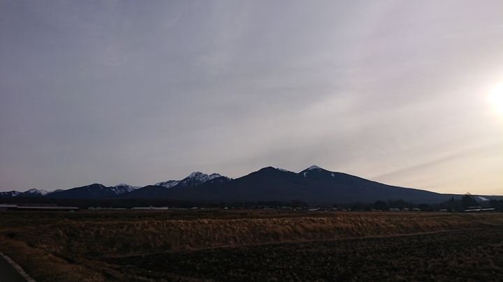DSC_0308.JPG