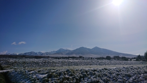 DSC_0567.JPG