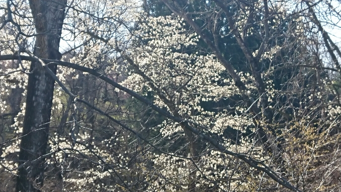 DSC_0564.JPG