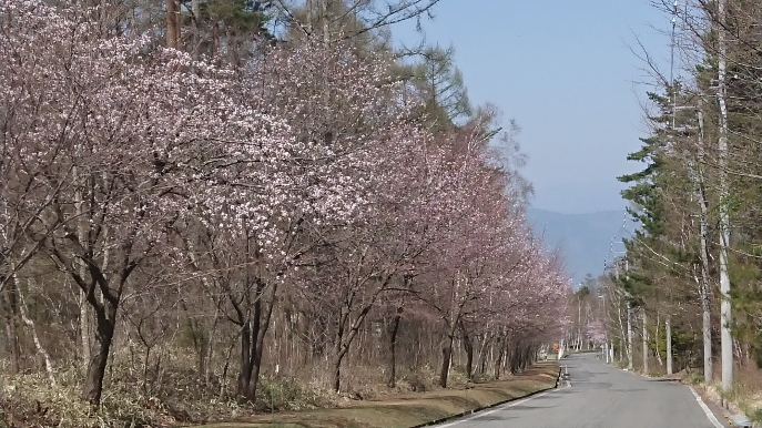 立場林道.JPG