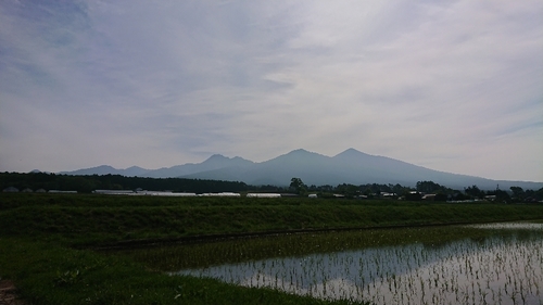 DSC_1186.JPG