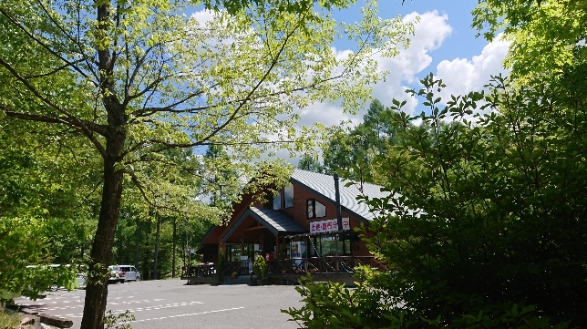 DSC_1208.JPG