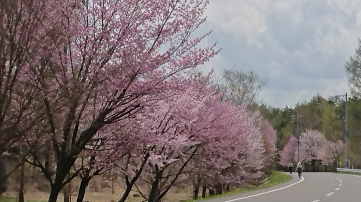 鉢巻道路.JPG