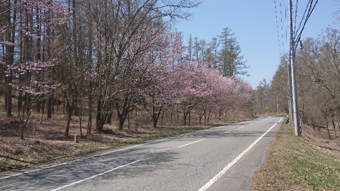 鉢巻道路.JPG