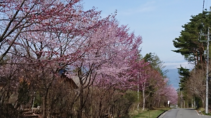 立場林道.JPG