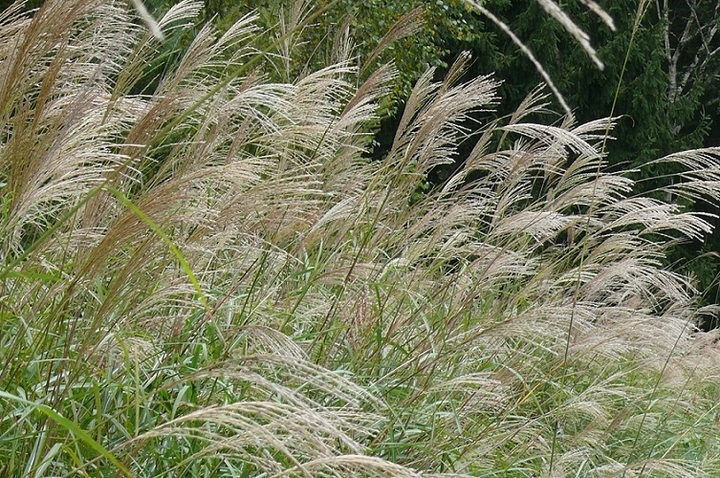 P1050244.JPG