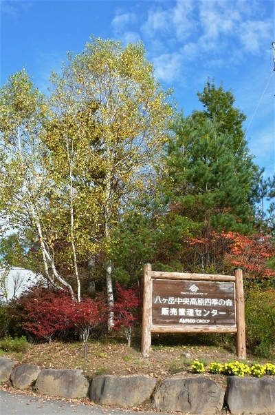 P1050839.JPG