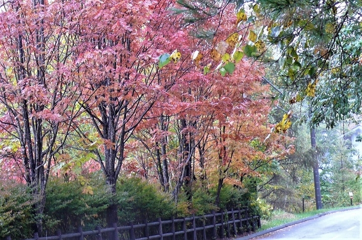 P1050633.JPG