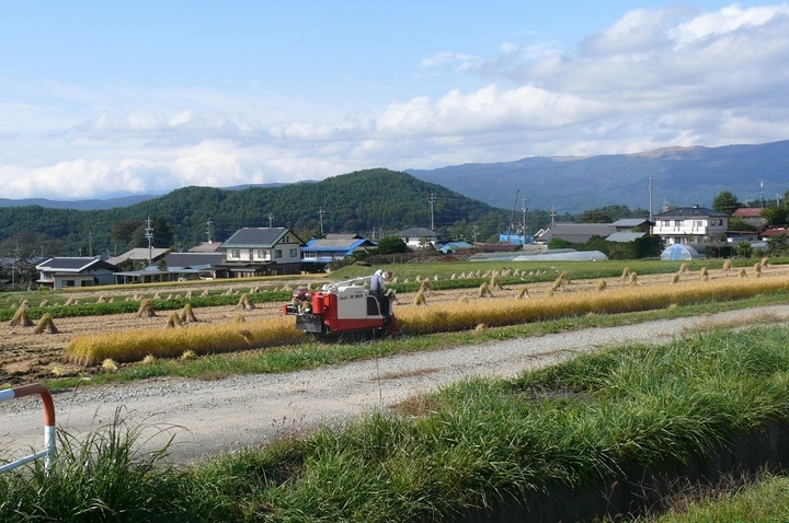 P1050723.JPG