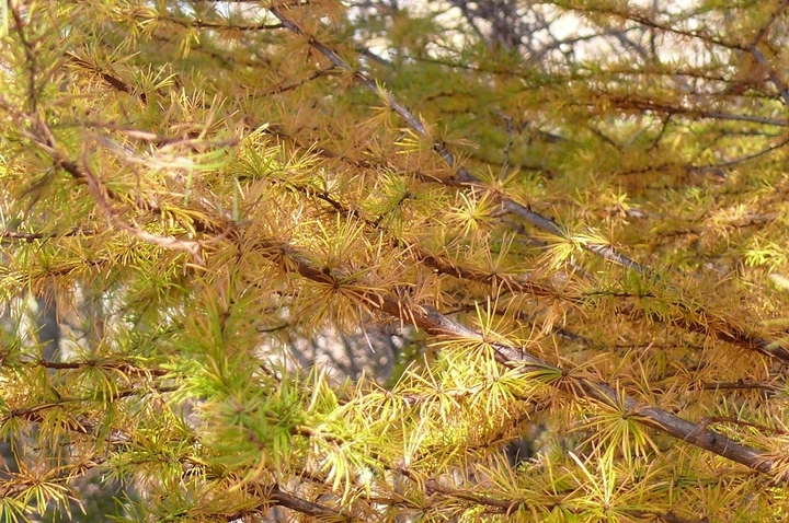 P1060183.JPG