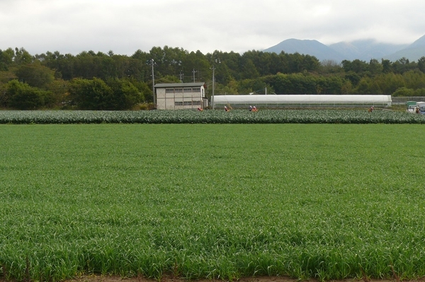 P1050674.JPG