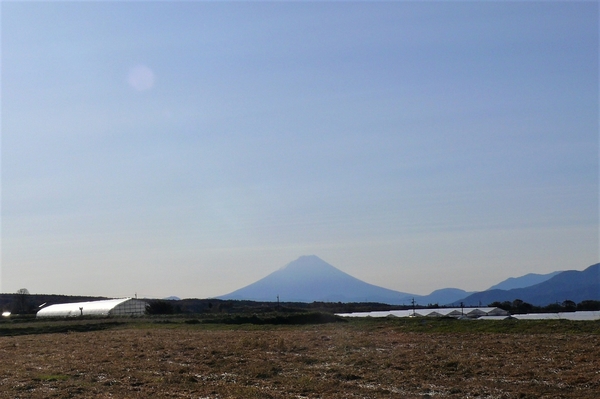 P1060314.JPG