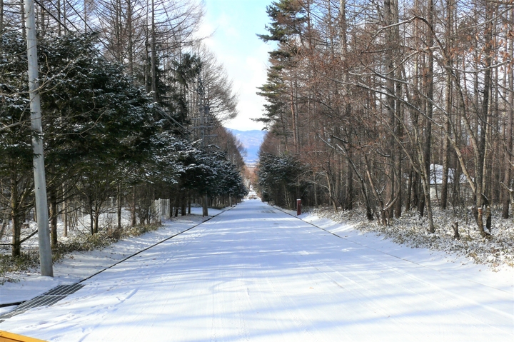 共用道路.JPG