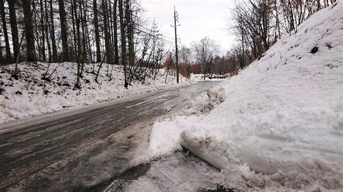 共用道路.JPG