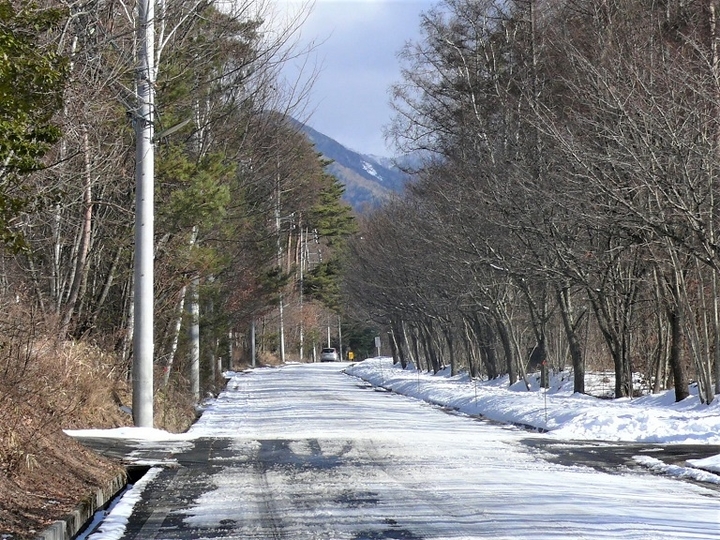 立場林道.JPG