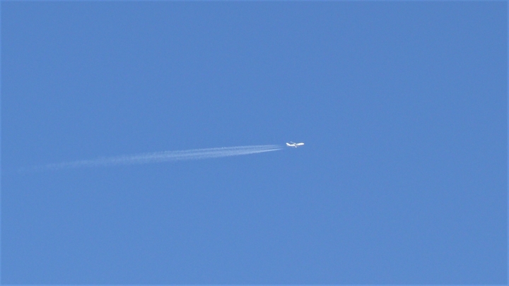 P1080568.JPG