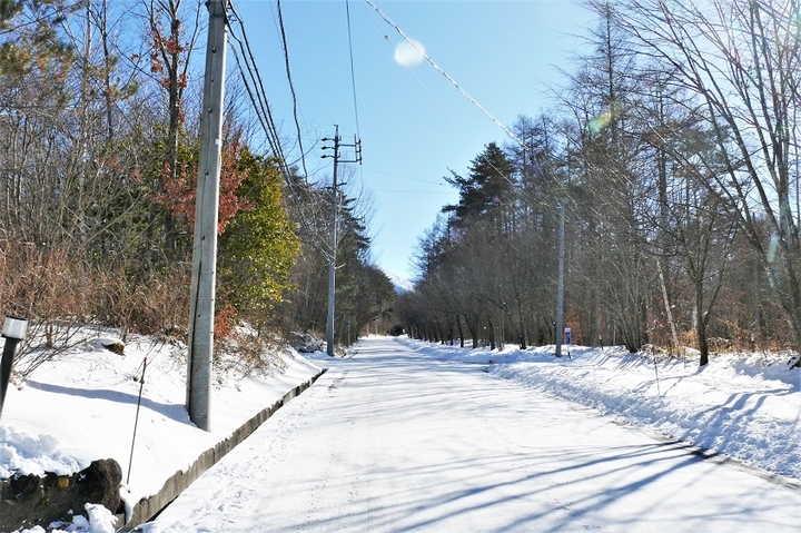 P1080500.JPG