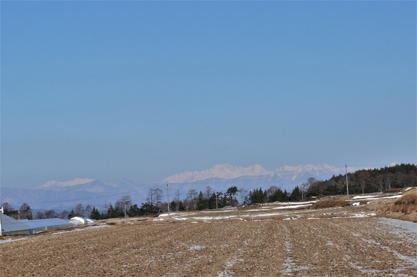 P1080533.JPG