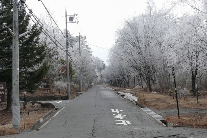 P1080873.JPG