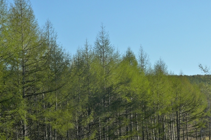 P1100550.JPG