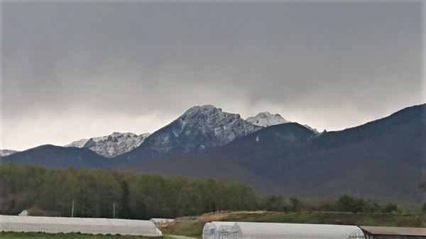 DSC_2616.JPG