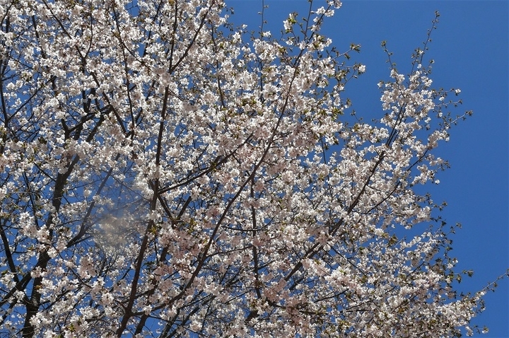 P1100579.JPG