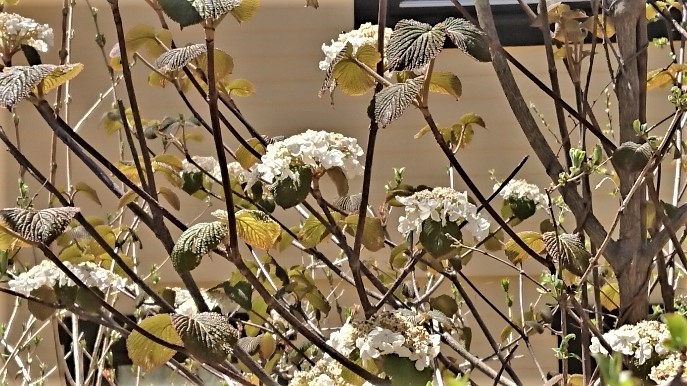 DSC_2613.JPG