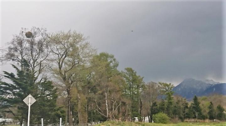 DSC_2620.JPG