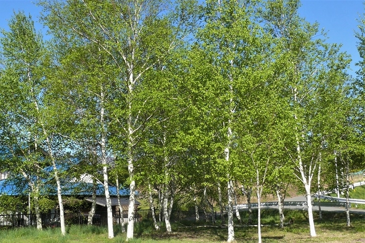 P1100548.JPG