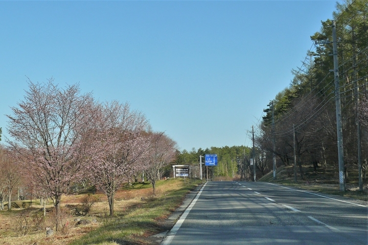 P1100549.JPG