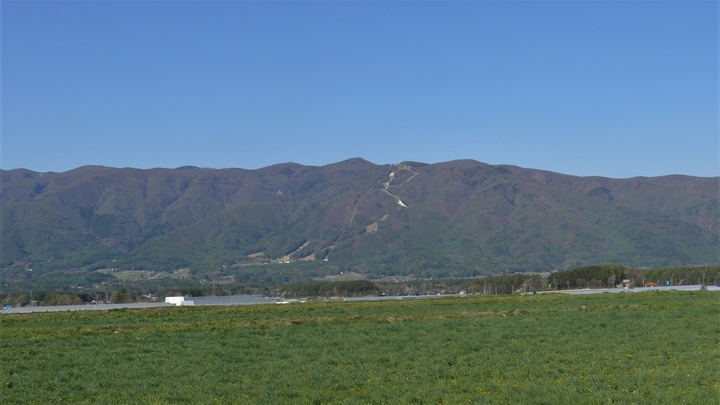 P1100556.JPG