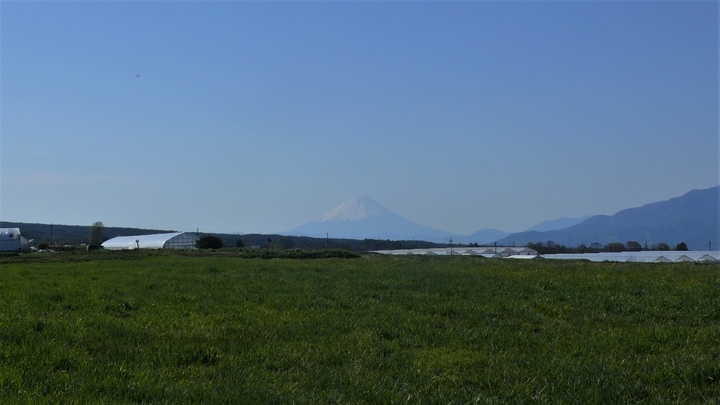 P1100557.JPG