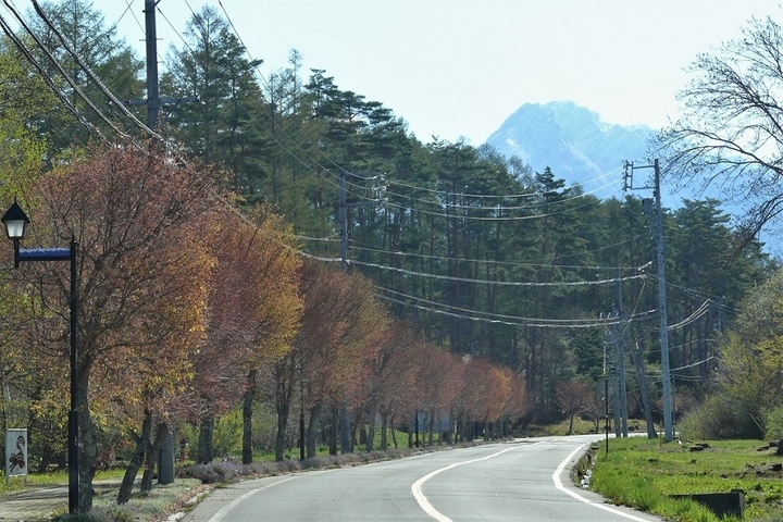 P1100558.JPG