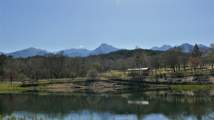 P1100561.JPG