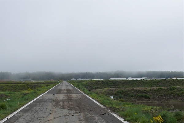 P1100565.JPG