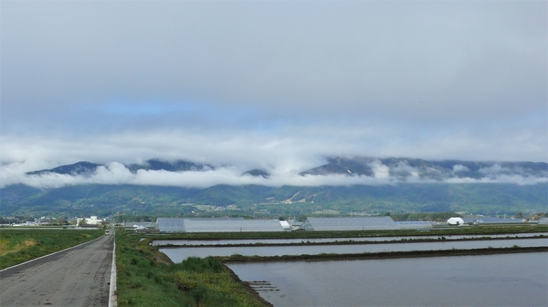 P1100566.JPG