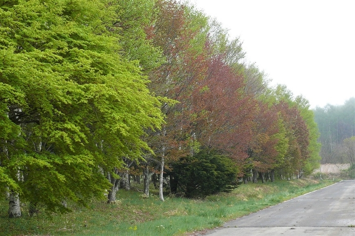P1100568.JPG